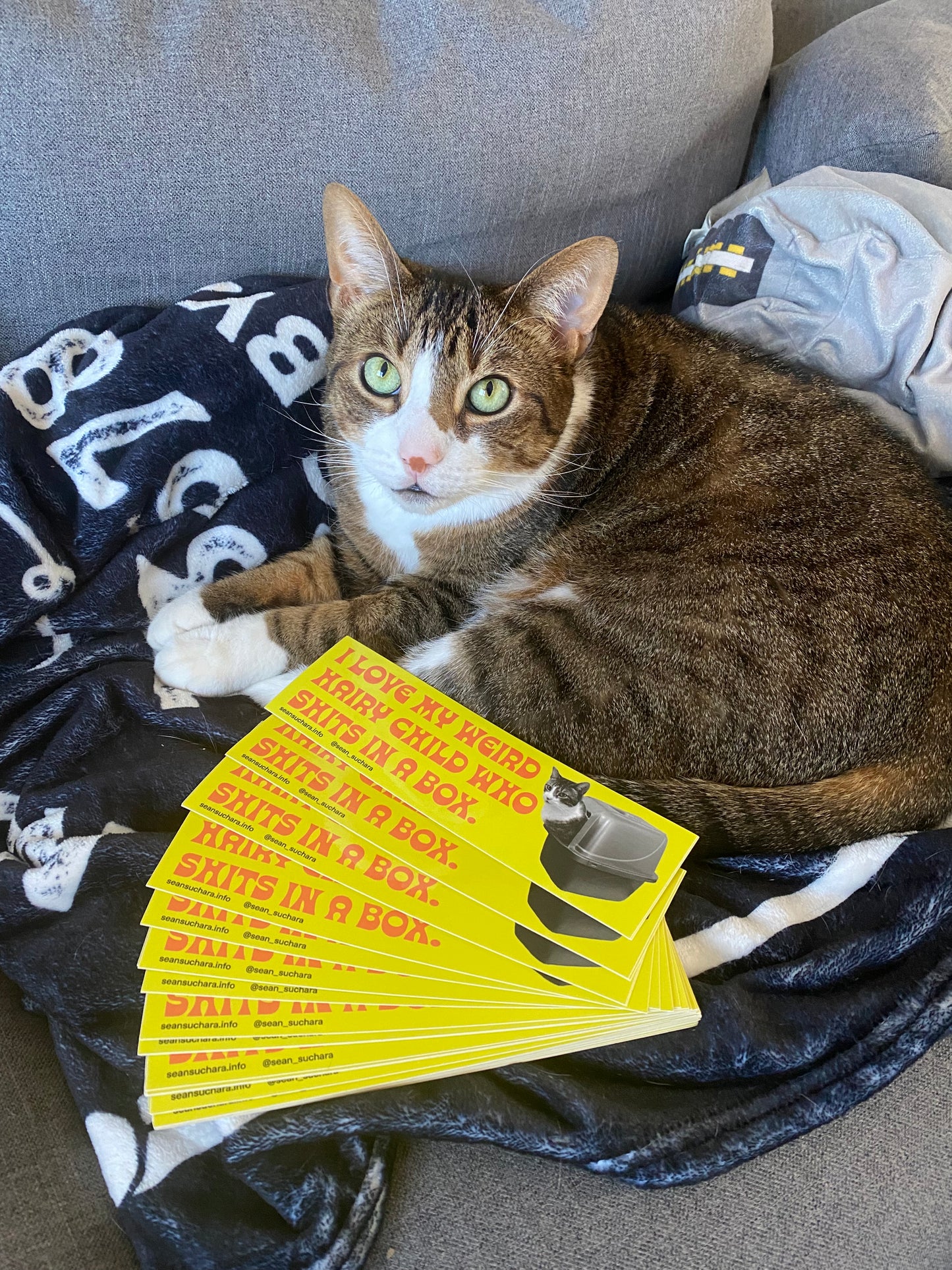 I love my weird child who shits in a box - Bumper Sticker